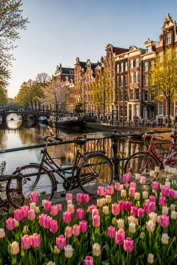 Amsterdam canal and museum day experience